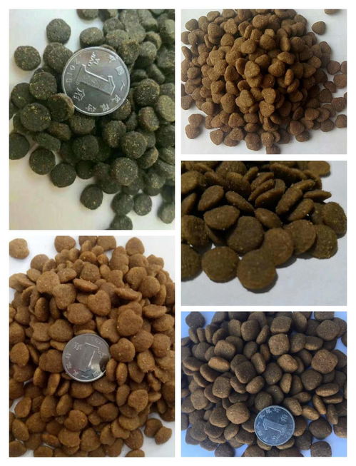 山東寵物用品產業大數據解析與采購指南 聚焦異合日用百貨網